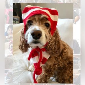 Dog Hat & Scarf Set